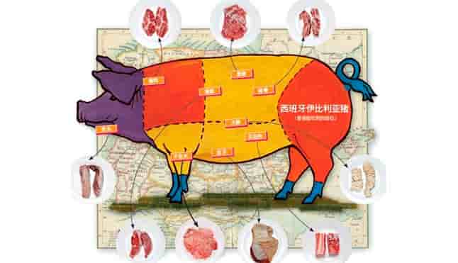 西班牙成为中国猪肉的第二大供应商