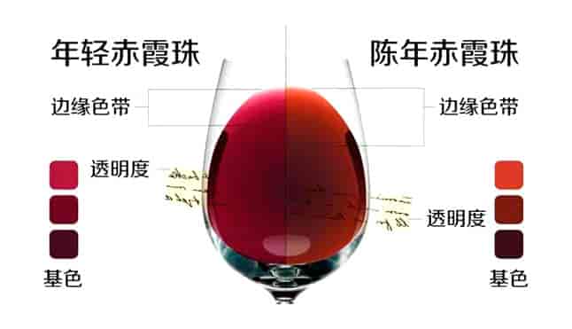 葡萄酒的红到底有多少种颜色