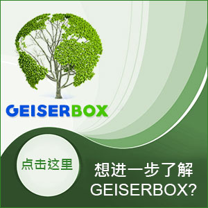 Geiserbox
